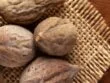 bibhitaki terminalia bellirica