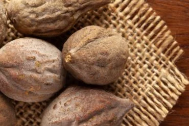 Ciclo menstrual no Ayurveda (Artavachakra)